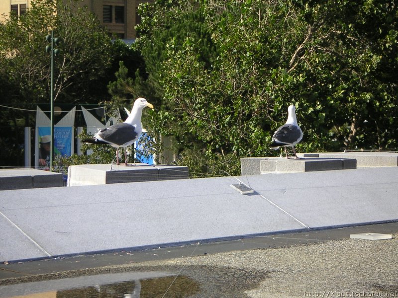 PICT8945.JPG