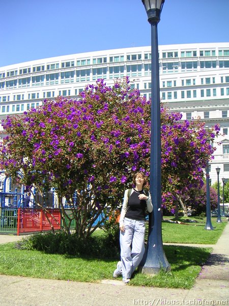 PICT8979.JPG