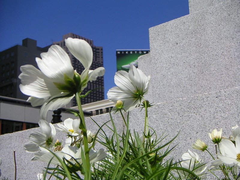 PICT8997.JPG